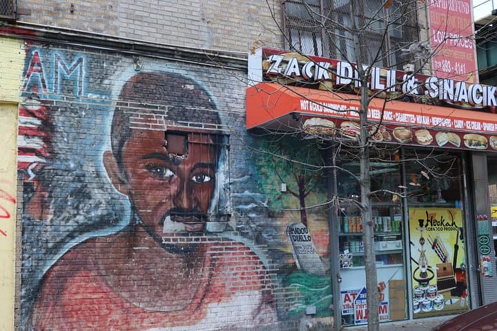 New York Contrasts: Brooklyn, The Bronx, Queens & Manhattan Highlights photo 5