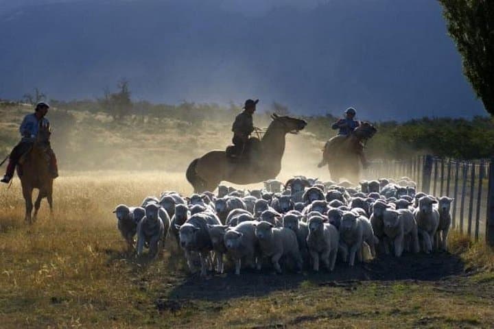 Estancia Nibepo Aike Horse Ride & Asado — Day at a Patagonian Ranch photo 2