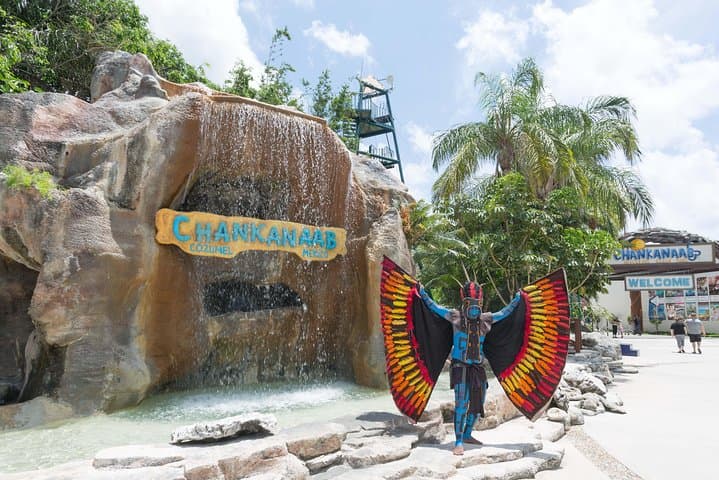 Chankanaab Park Cozumel: Snorkel the Mesoamerican Reef with Lunch and Beach Access