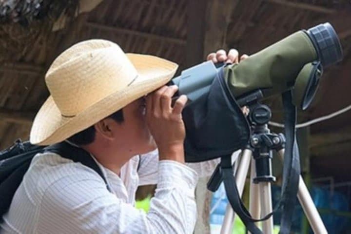 Bird Watching in La Mancha: Veracruz’s Migratory Raptor Corridor