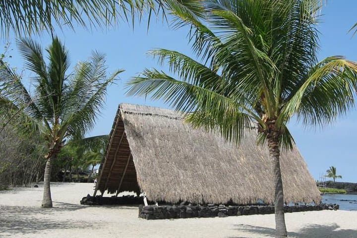 Kona Coast Cultural Tour: Bee Farm, Kona Coffee & National Historical Parks photo 3