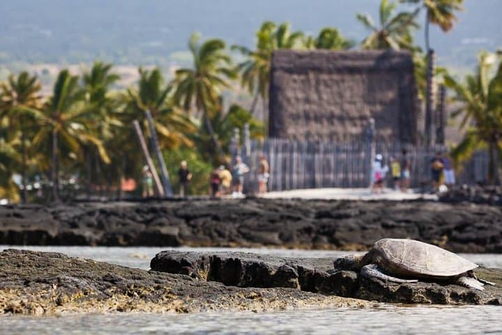 Kona Coast Cultural Tour: Bee Farm, Kona Coffee & National Historical Parks photo 5