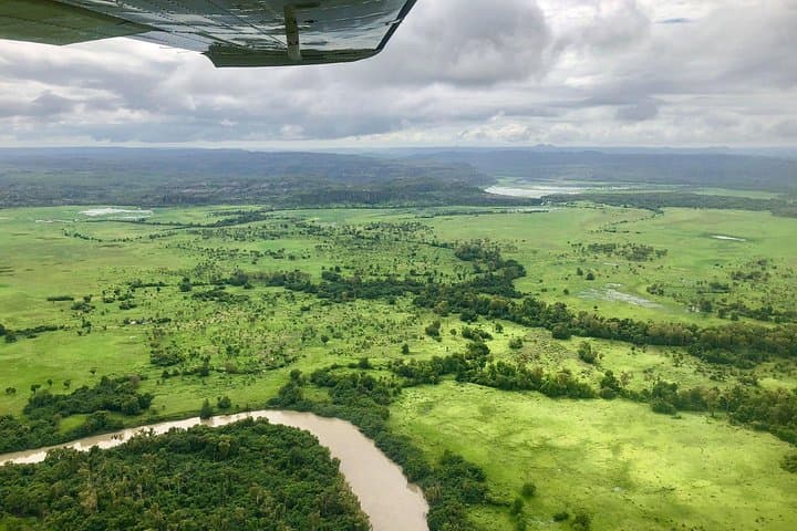 Kakadu & Mary River Scenic Flight from Darwin — Wetlands, Escarpments & Arnhem Land Aerial Tour photo 6