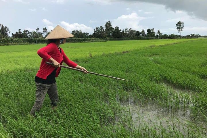 Cai Rang Floating Market, Cooking Class & Mekong Countryside Full-Day Experience photo 6