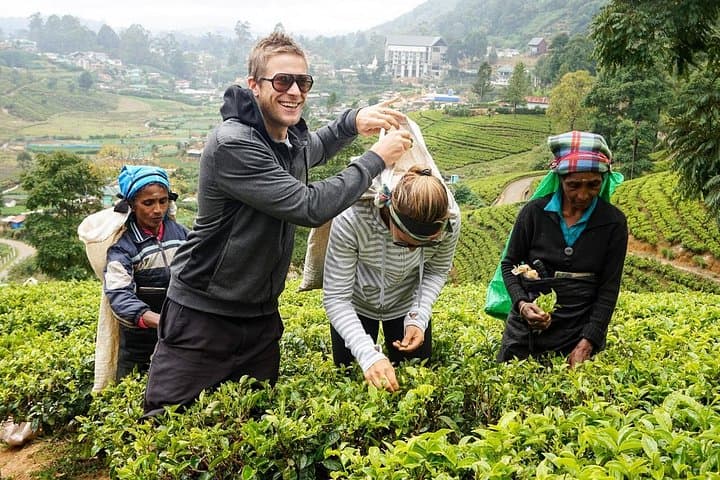 Nuwara Eliya & Horton Plains: 2-Day Private Highlands Tour from Colombo photo 2