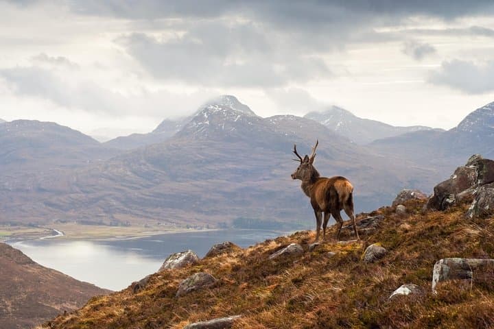 Isle of Skye & Loch Ness: 3-Day Highlands Tour from Glasgow photo 2