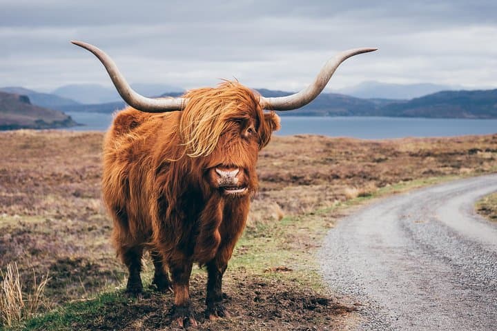 Isle of Skye & Loch Ness: 3-Day Highlands Tour from Glasgow photo 6