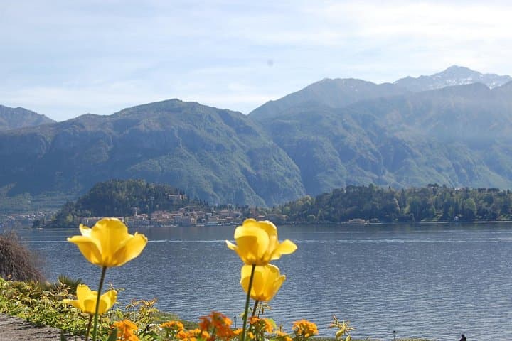 Private Picnic Cruise on Lake Como — Mini-Cruise from Como to Bellagio photo 2
