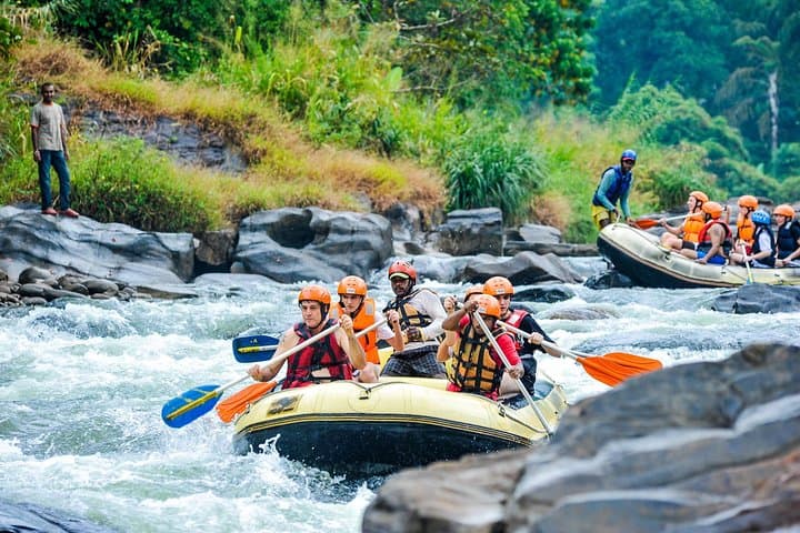 Kelani River Whitewater Rafting in Kitulgala — Day Trip from Colombo