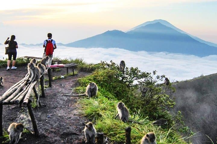 Kintamani Highland Tour: Barong Dance, Mount Batur & Tegalalang Rice Terraces photo 3