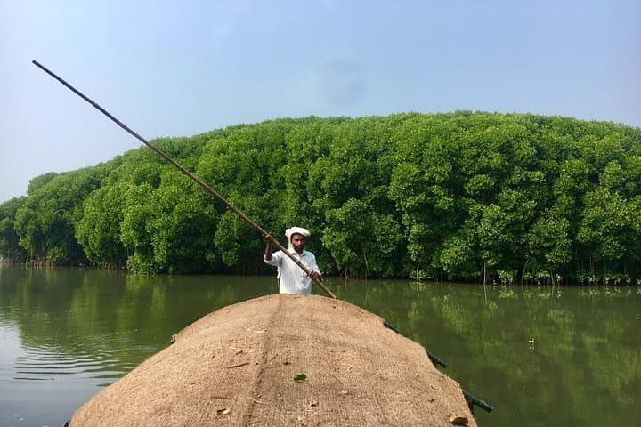 Kadalundi Mangrove Trail: Guided Boat Tour & Birdwatching in Calicut