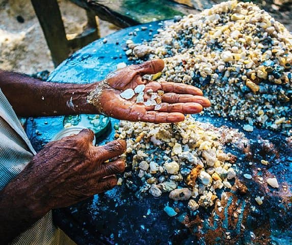 Hikkaduwa Tuk‑Tuk Day Tour: Cinnamon, Rubber & Turtle Hatchery Experience photo 3