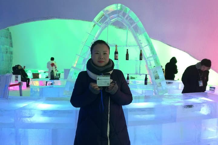 Harbin Ice and Snow World Night Tour — Small-Group Winter Light & Ice Sculpture Experience photo 6