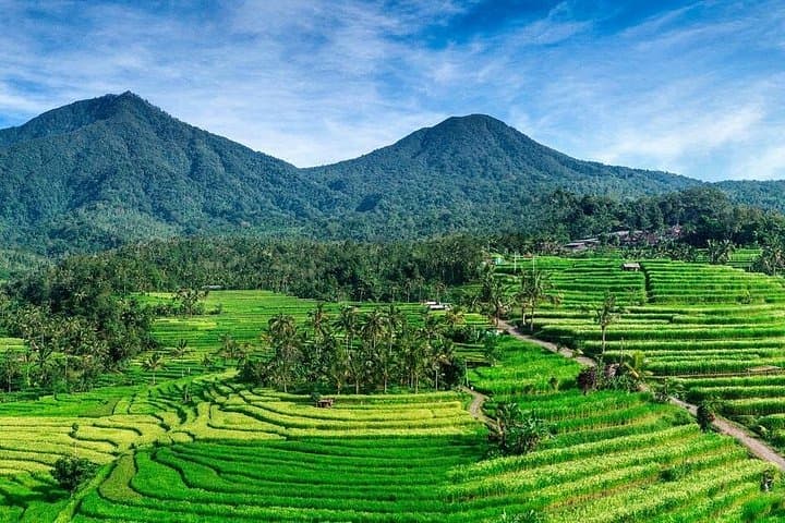 Beratan Lake Temple & Jatiluwih Rice Terrace — Full-Day Private Tour from Kuta photo 5