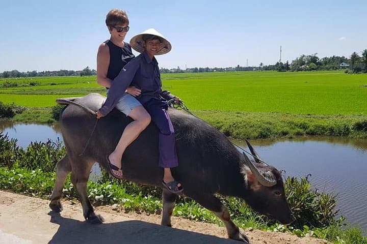 Explore Hoi An's Countryside: Pottery, Buffalos, and Bamboo Boats photo 5
