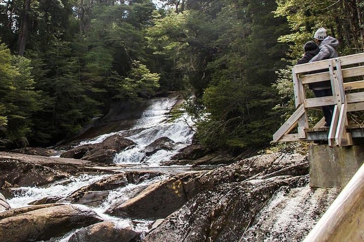 3-Day Bariloche Adventure: Cerro López Canopy, Seven Lakes Road & Blest Port Cruise photo 5