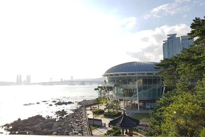Unveiling Busan: A One-Day Private City Expedition photo 4
