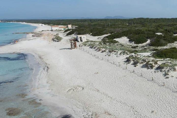 Es Trenc Beach Day Trip from Mallorca - White Sands & Historic Salt Flats photo 4