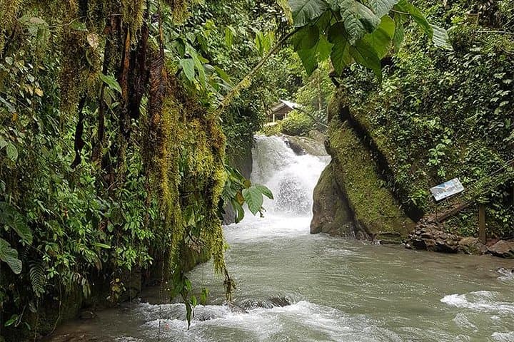 Mindo Cloud Forest and Intiñan Equator Tour — Birding, Chocolate & Mitad del Mundo from Quito photo 6