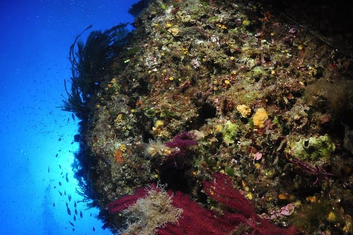 Etna & Diving Jeep Tour from Catania — Jeep Hike, Wine Tasting and Coastal Dive photo 2