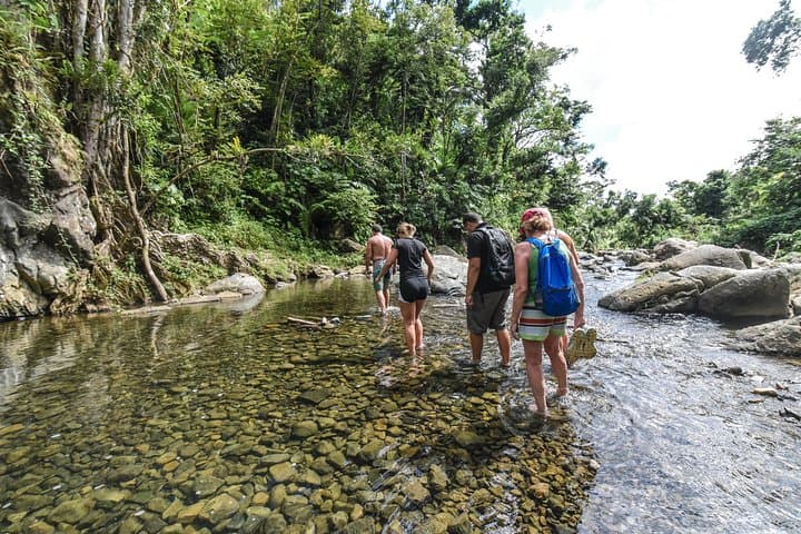 El Yunque Rainforest Waterslides: Full-Day Hike from San Juan photo 3