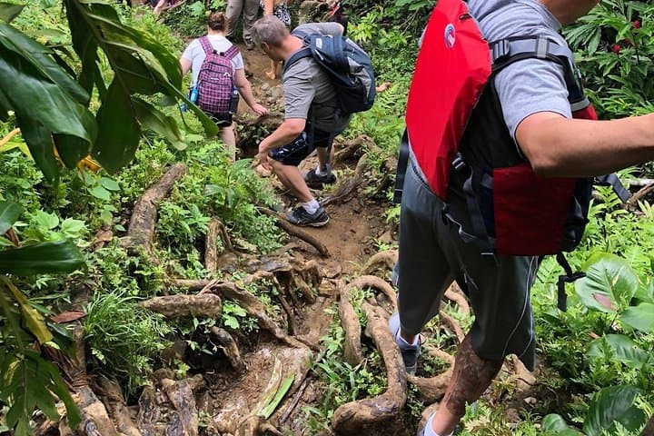 El Yunque Rainforest Waterslides: Full-Day Hike from San Juan photo 4