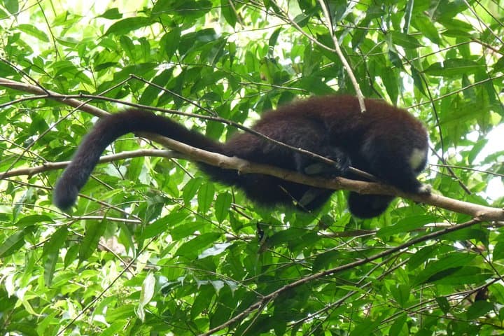 4-Day Cuyabeno Wildlife Reserve Adventure: Amazon Lodge & River Canoe Tours photo 2