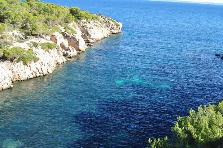 Authentic Mallorca Day Tour: Coastal Villages, Wine & Traditional Lunch photo 3