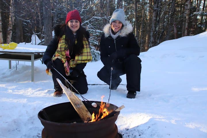 Dog Sledding from Toronto: Private Winter Tour to Explorer's Edge photo 3
