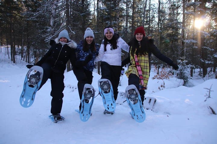 Dog Sledding from Toronto: Private Winter Tour to Explorer's Edge photo 4