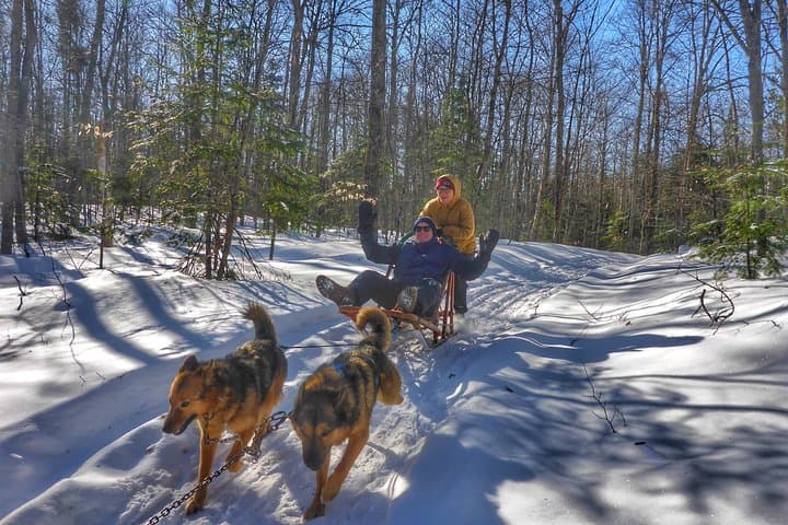 Dog Sledding from Toronto: Private Winter Tour to Explorer's Edge photo 5