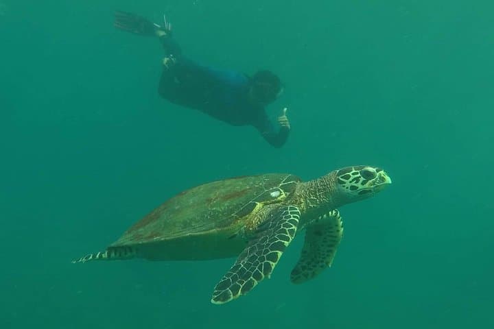 Private Phi Phi & 4 Islands Sunset Speedboat Cruise from Krabi photo 4
