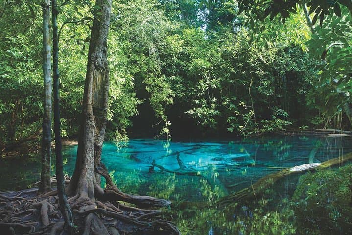 Ao Thalane Kayaking: Mangroves, Limestone Cliffs & Sa Kaeo Pool