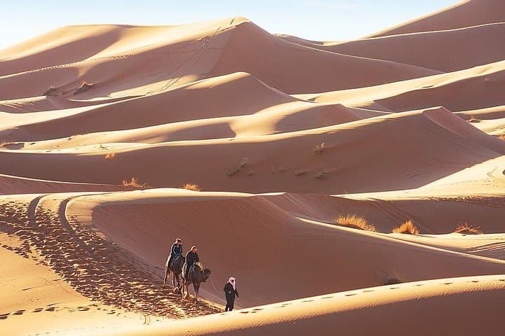 Journey Through Morocco's Great South: 8-Day Private Sahara Tour photo 4