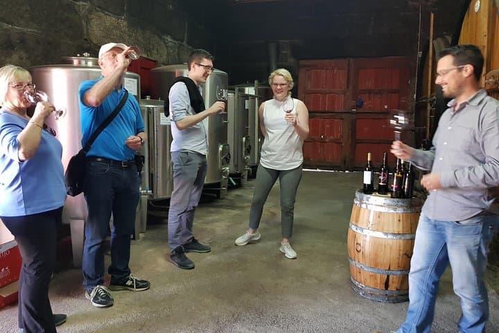 Private Douro Valley Wine Tour: Visit Three Vineyards with Lunch from Porto photo 3