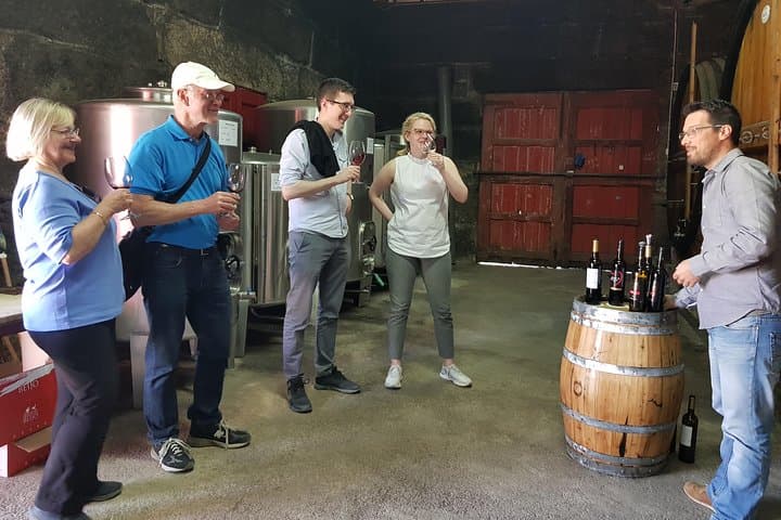 Douro Valley Wine Tour: 3 Vineyards, Tastings & Traditional Lunch from Porto photo 5