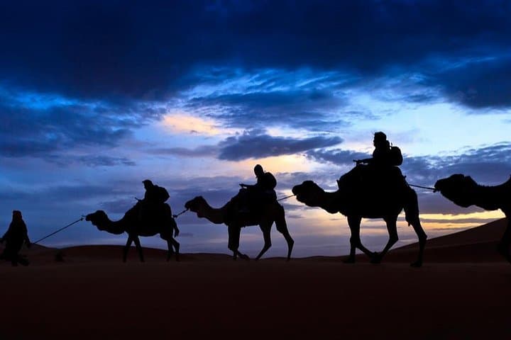 Zagora Desert Overnight: 2-Day Trip from Marrakech via Ait Benhaddou and the Draa Valley photo 2