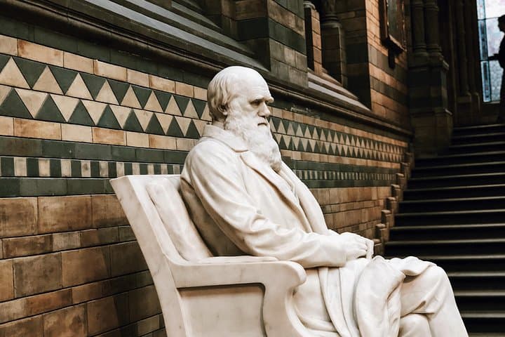 Natural History Museum London Semi‑Private Guided Tour — Highlights & Practical Guide photo 4