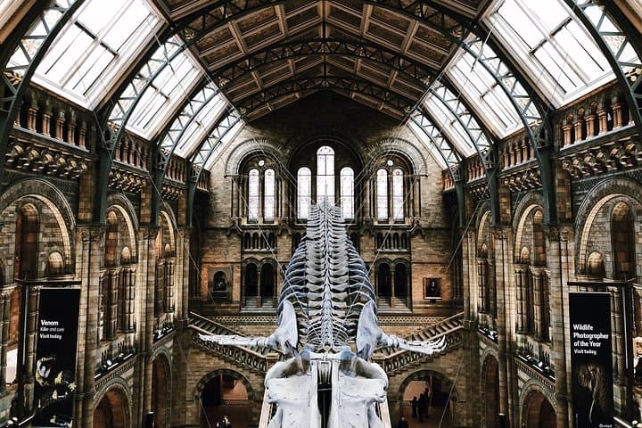 Natural History Museum London Semi‑Private Guided Tour — Highlights & Practical Guide