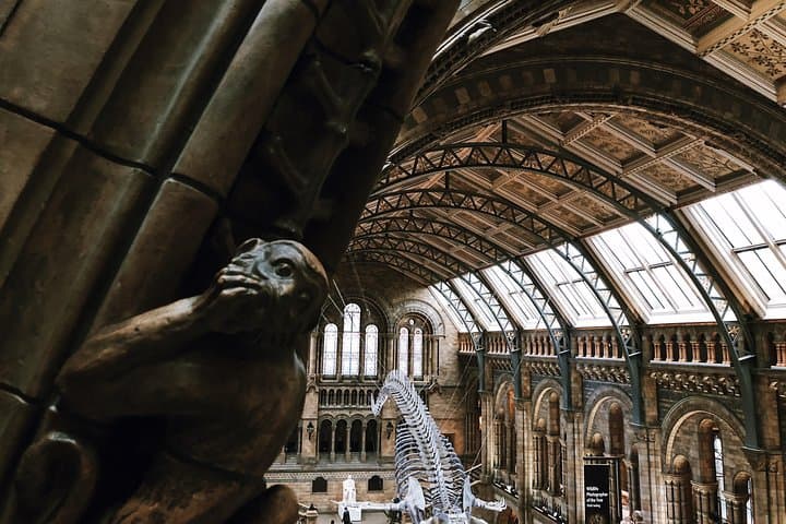 Natural History Museum London Semi‑Private Guided Tour — Highlights & Practical Guide photo 6