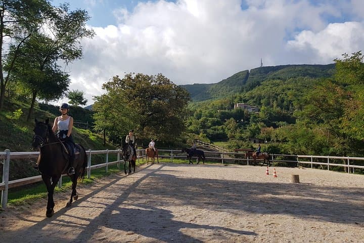 Half-Day Horseback Ride in Tuscany — Beginner-Friendly Trails Near San Gimignano photo 3
