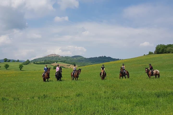 Half-Day Horseback Ride in Tuscany — Beginner-Friendly Trails Near San Gimignano photo 2