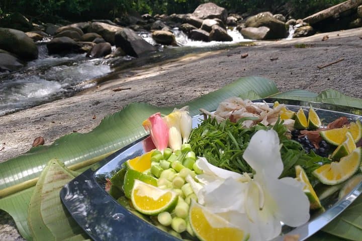 Forest Forager: Wild Food Walk in Paraty's Atlantic Rainforest photo 3