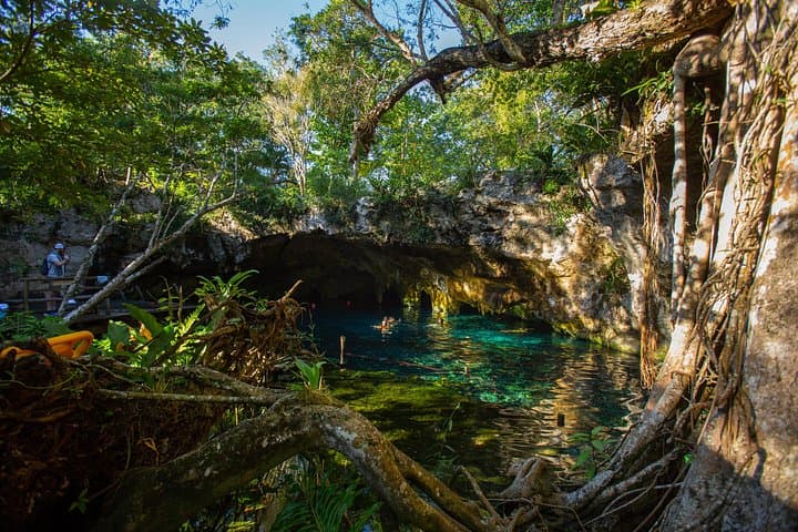Tulum Cenotes Trail: Jungle Bike Tour, Snorkel & Zipline with Lunch photo 4