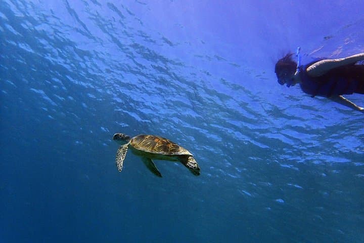 Private Guided Snorkeling in Guam: Family-Friendly Reefs & Freediving Dropoffs
