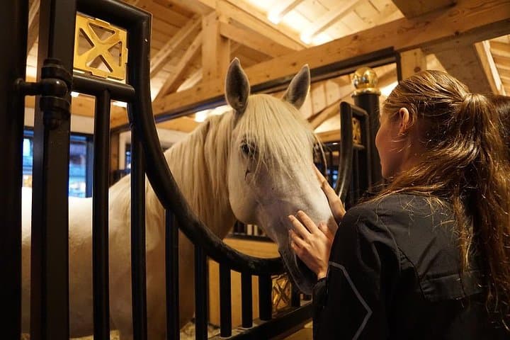 Lipica Stud Farm & Skocjan Caves: Day Trip from Piran, Portorož or Izola photo 5