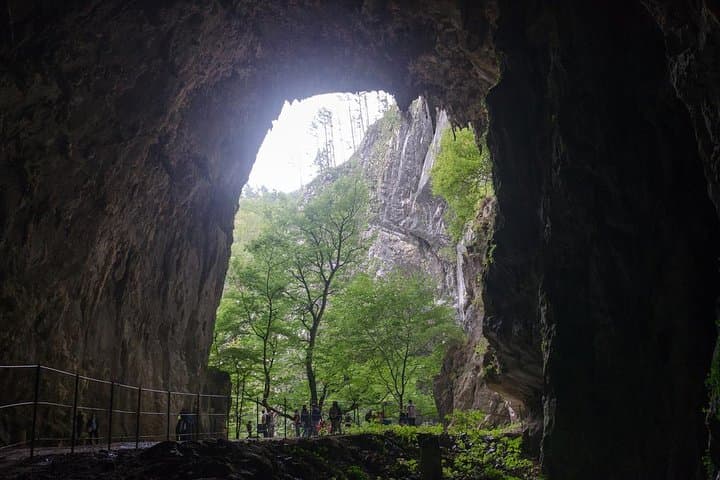 Lipica Stud Farm & Skocjan Caves: Day Trip from Piran, Portorož or Izola photo 3