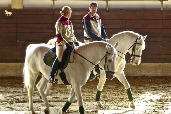 Lipica Stud Farm & Skocjan Caves: Day Trip from Piran, Portorož or Izola photo 6