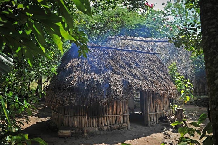 Mayan Backroads: Bike, Cenotes & Monkeys — Day Trip from Tulum photo 4