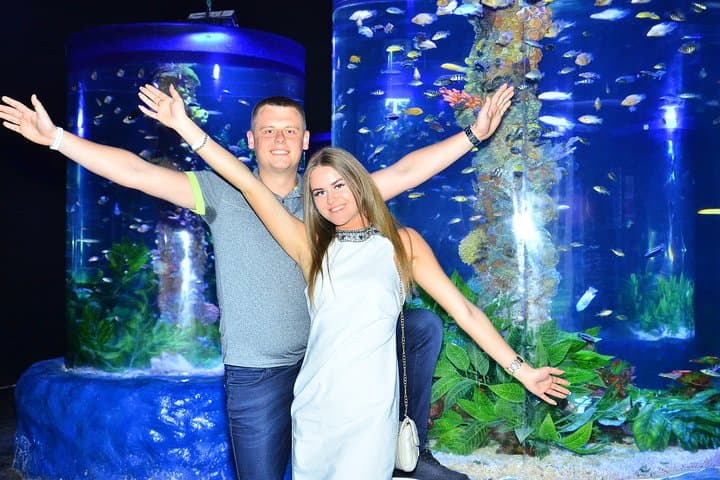 Hurghada Grand Aquarium: Walk the Underwater Tunnel & Shark Feedings photo 5